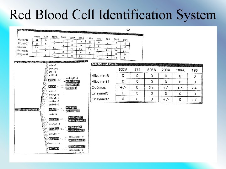 Red Blood Cell Identification System 