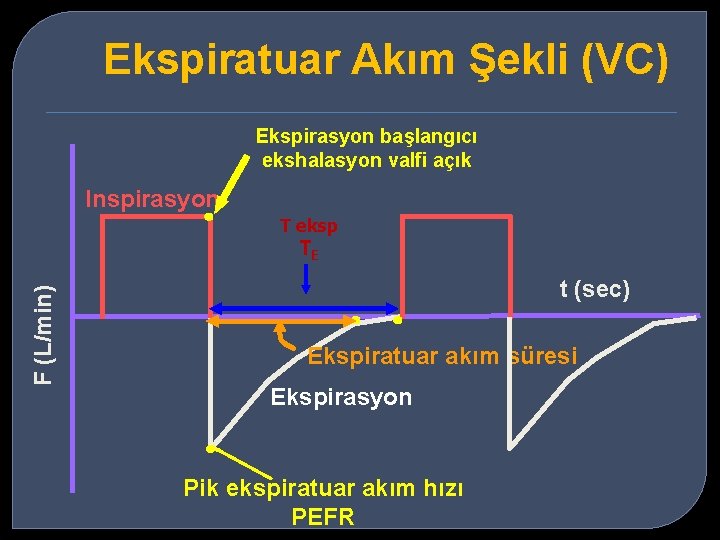 Ekspiratuar Akım Şekli (VC) Ekspirasyon başlangıcı ekshalasyon valfi açık Inspirasyon T eksp F (L/min)