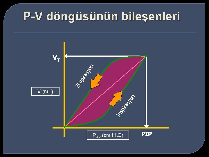 P-V döngüsünün bileşenleri Ek sp ira sy o n VT In sp ira sy