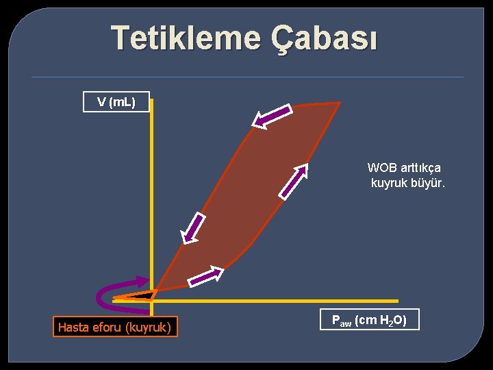 Tetikleme Çabası V (m. L) WOB arttıkça kuyruk büyür. Hasta eforu (kuyruk) Paw (cm