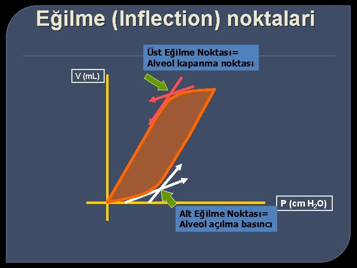 Eğilme (Inflection) noktalari Üst Eğilme Noktası= Alveol kapanma noktası V (m. L) Alt Eğilme