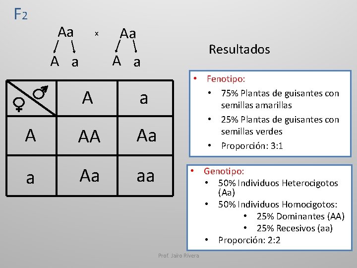 F 2 Aa x Aa Resultados A a A a A AA Aa aa