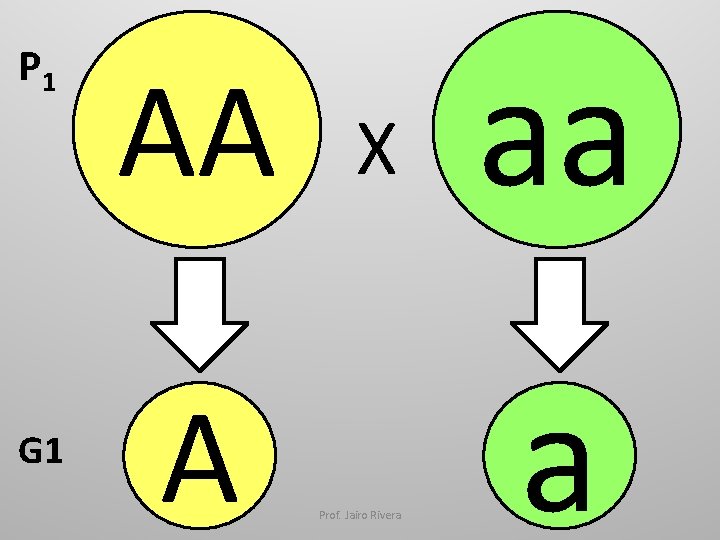 P 1 G 1 AA A X Prof. Jairo Rivera aa a 