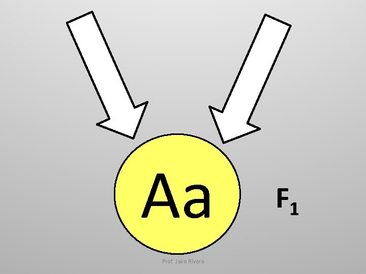 Aa Prof. Jairo Rivera F 1 