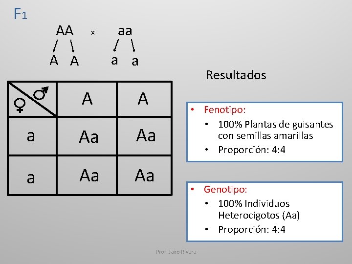 F 1 AA x aa a a A A Resultados A A a Aa