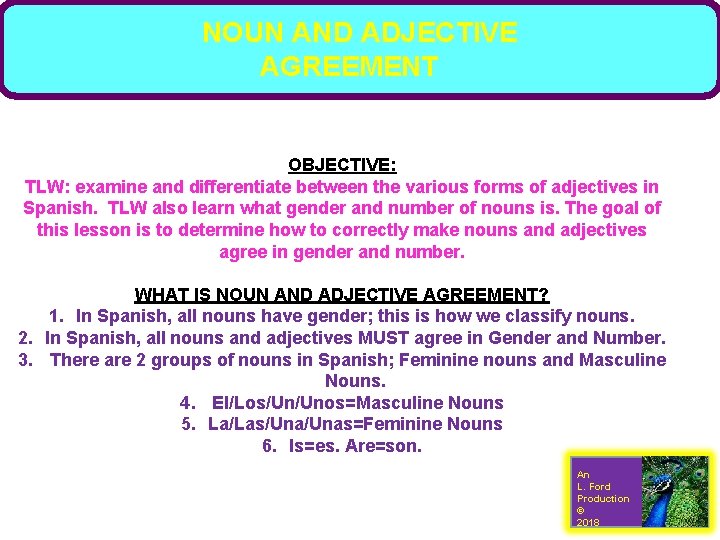 NOUN AND ADJECTIVE AGREEMENT OBJECTIVE: TLW: examine and differentiate between the various forms of