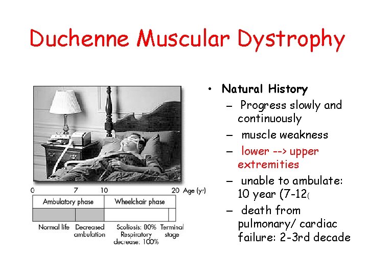 Duchenne Muscular Dystrophy • Natural History – Progress slowly and continuously – muscle weakness