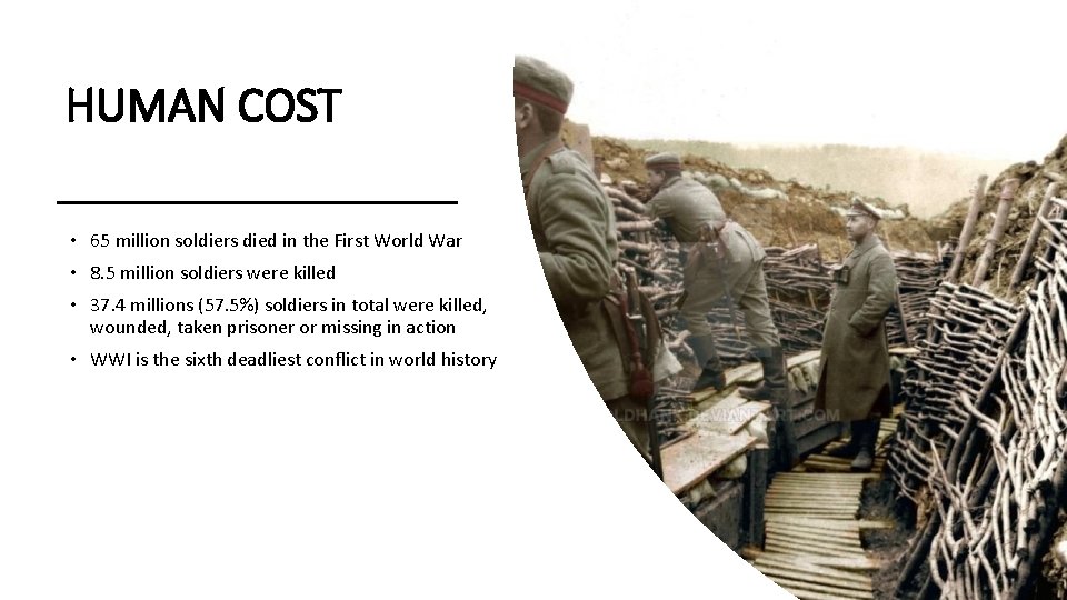 HUMAN COST • 65 million soldiers died in the First World War • 8.