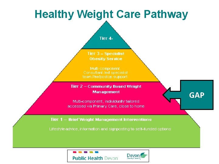 Healthy Weight Care Pathway GAP Healthy Weight Care Pathway GAP