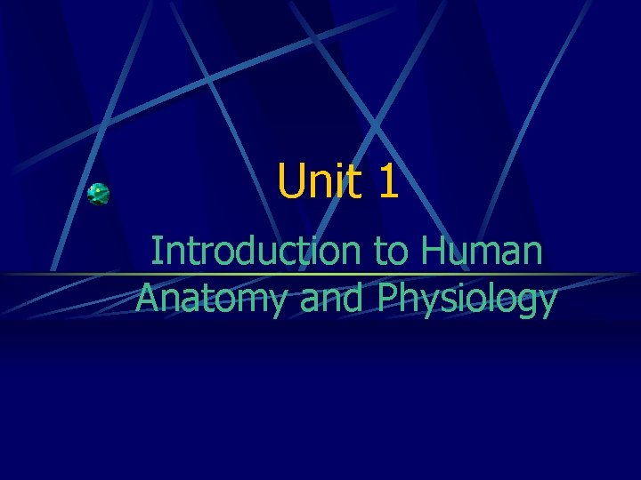 Unit 1 Introduction to Human Anatomy and Physiology 