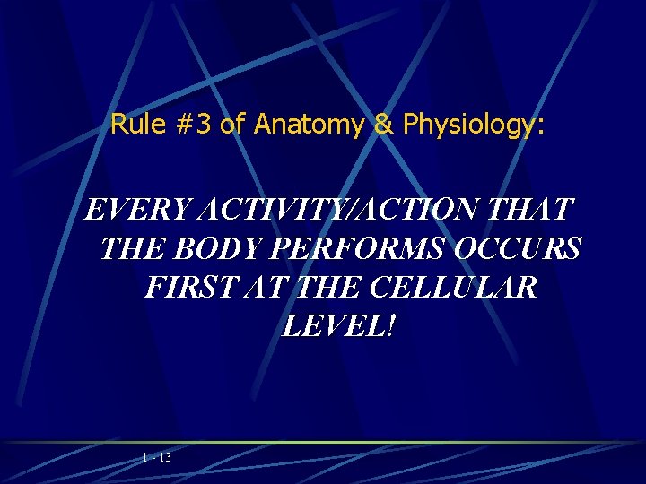 Rule #3 of Anatomy & Physiology: EVERY ACTIVITY/ACTION THAT THE BODY PERFORMS OCCURS FIRST