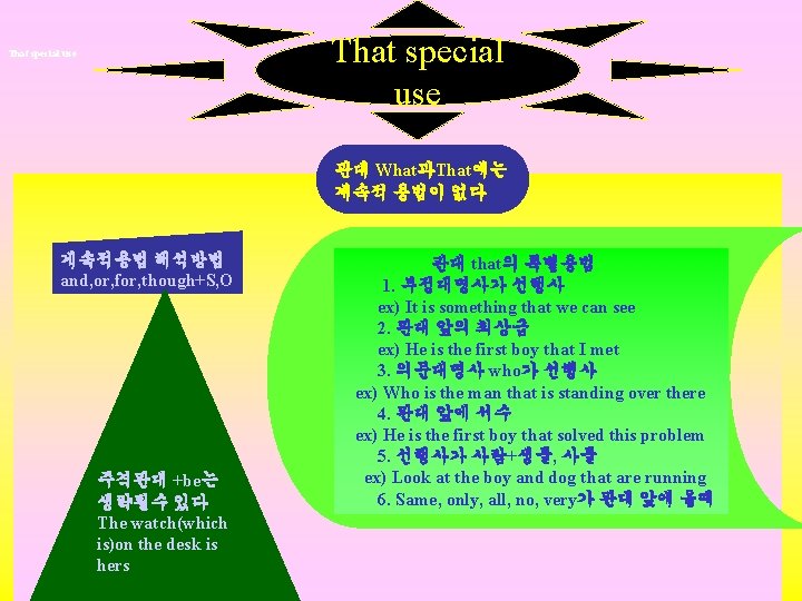 That special use 관대 What과That에는 계속적 용법이 없다 게속적용법 해석방법 and, or, for, though+S,