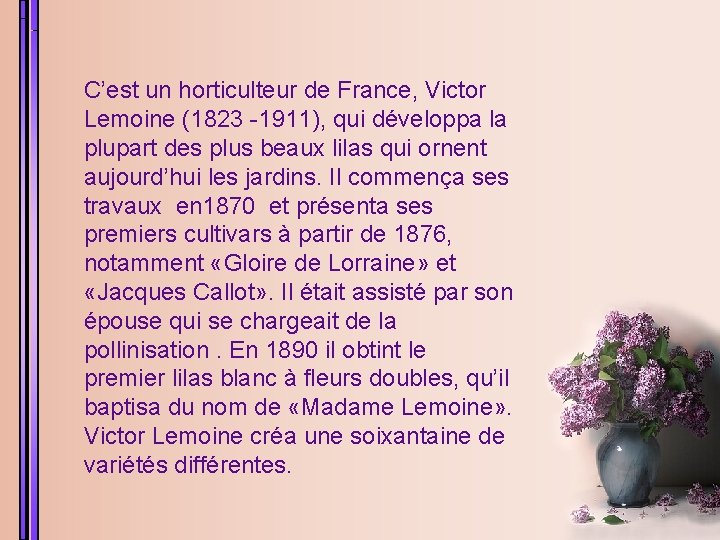 C’est un horticulteur de France, Victor Lemoine (1823 -1911), qui développa la plupart des