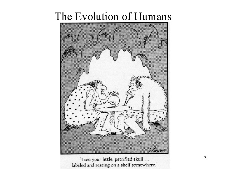 The Evolution of Humans 2 