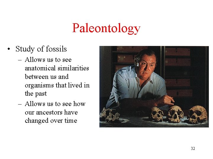 Paleontology • Study of fossils – Allows us to see anatomical similarities between us