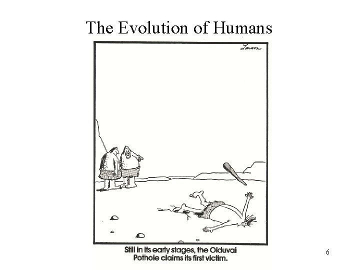 The Evolution of Humans 6 