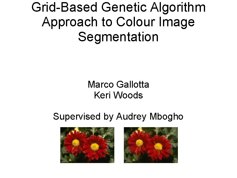 Grid-Based Genetic Algorithm Approach to Colour Image Segmentation Marco Gallotta Keri Woods Supervised by