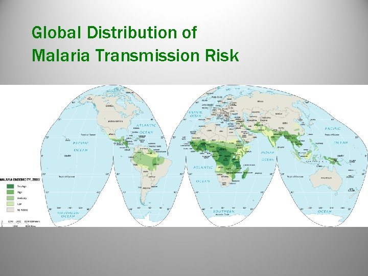 Global Distribution of Malaria Transmission Risk Global Distribution of Malaria Transmission Risk