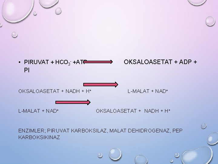  • PIRUVAT + HCO 3 - +ATP PI OKSALOASETAT + NADH + H+