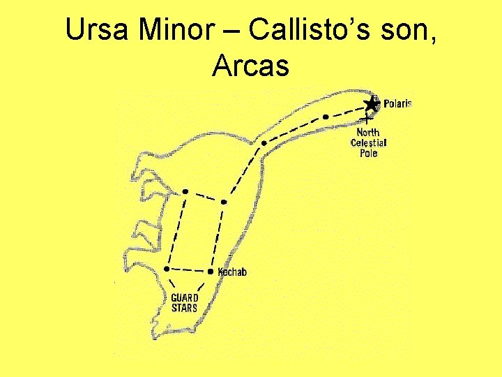 Ursa Minor – Callisto’s son, Arcas 