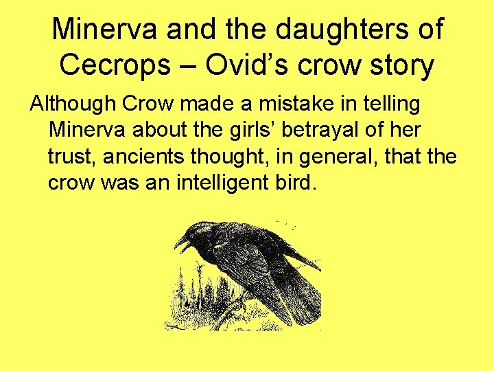 Minerva and the daughters of Cecrops – Ovid’s crow story Although Crow made a