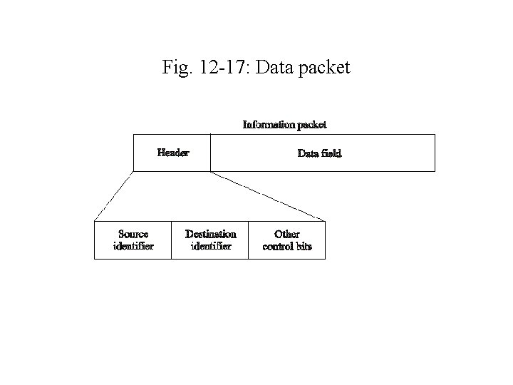 Fig. 12 -17: Data packet 