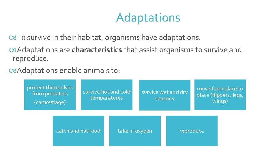 Adaptations To survive in their habitat, organisms have adaptations. Adaptations are characteristics that assist