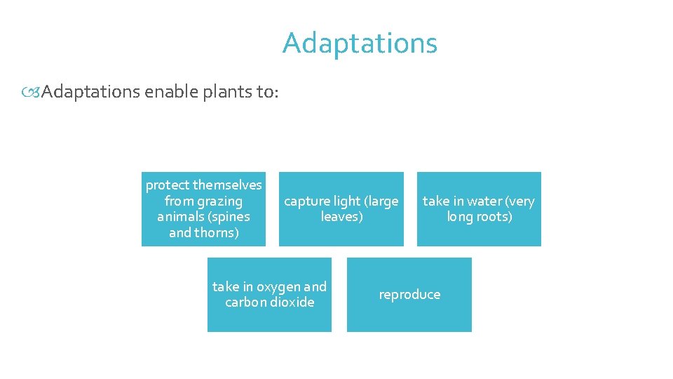 Adaptations enable plants to: Adaptations protect themselves from grazing animals (spines and thorns) capture