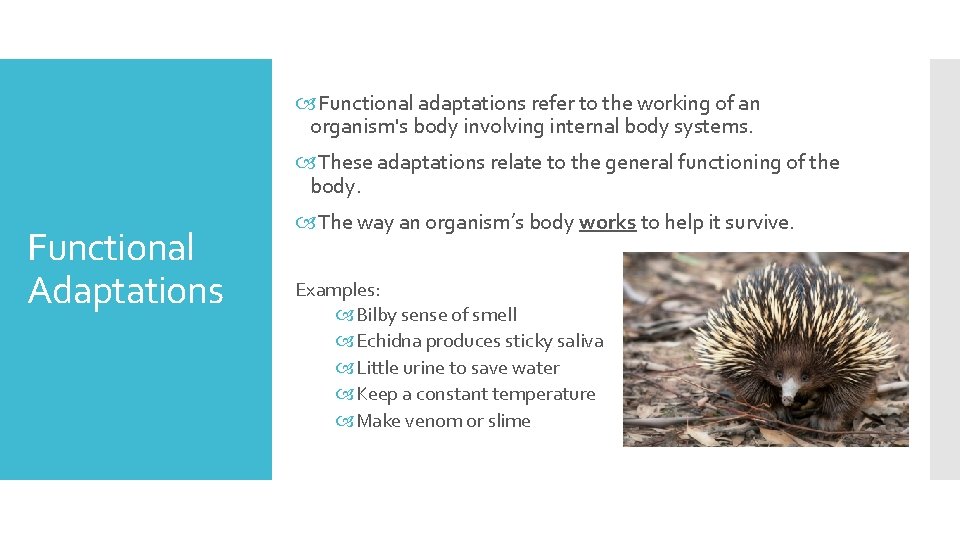  Functional adaptations refer to the working of an organism's body involving internal body