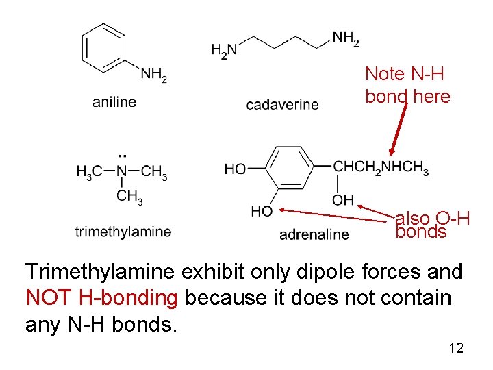 Note N-H bond here also O-H bonds Trimethylamine exhibit only dipole forces and NOT