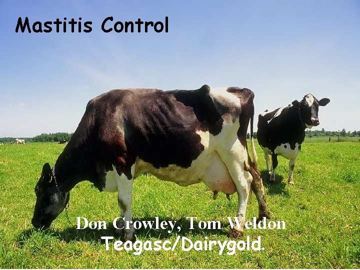 Mastitis Control Don Crowley, Tom Weldon Teagasc/Dairygold. 