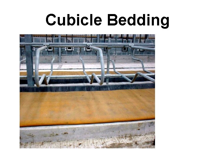 Cubicle Bedding 