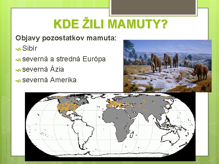 KDE ŽILI MAMUTY? Objavy pozostatkov mamuta: Sibír severná a stredná Európa severná Ázia severná
