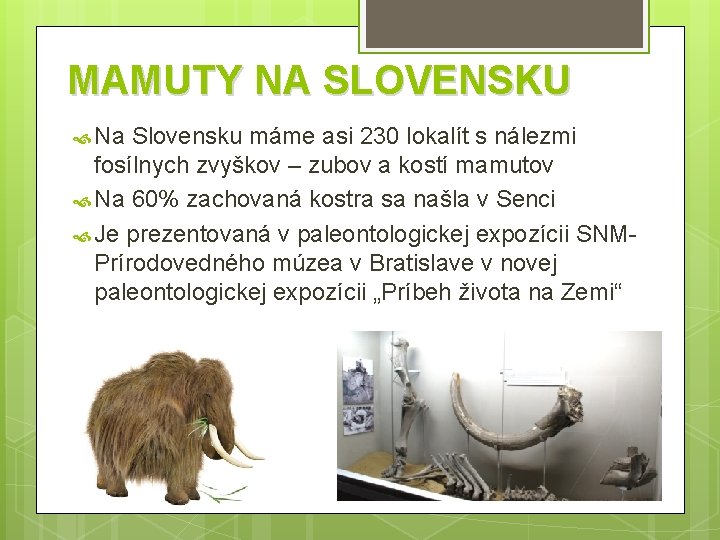 MAMUTY NA SLOVENSKU Na Slovensku máme asi 230 lokalít s nálezmi fosílnych zvyškov –