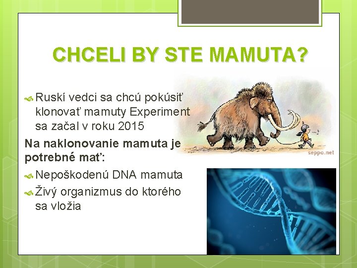 CHCELI BY STE MAMUTA? Ruskí vedci sa chcú pokúsiť klonovať mamuty Experiment sa začal