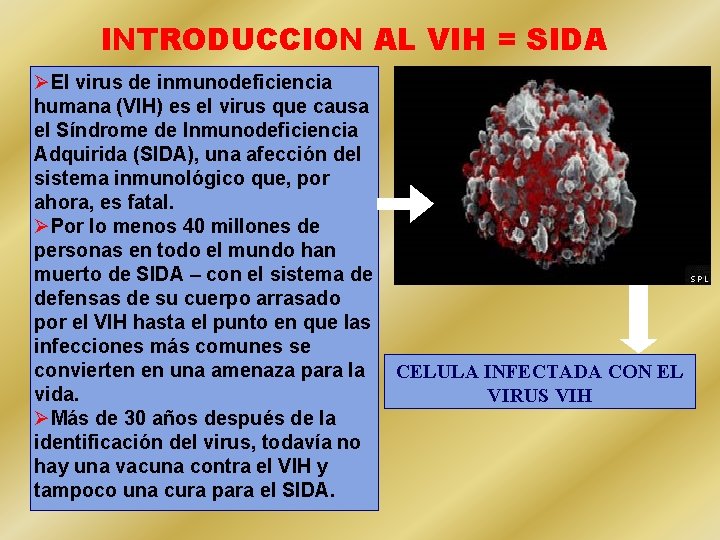 INTRODUCCION AL VIH = SIDA ØEl virus de inmunodeficiencia humana (VIH) es el virus
