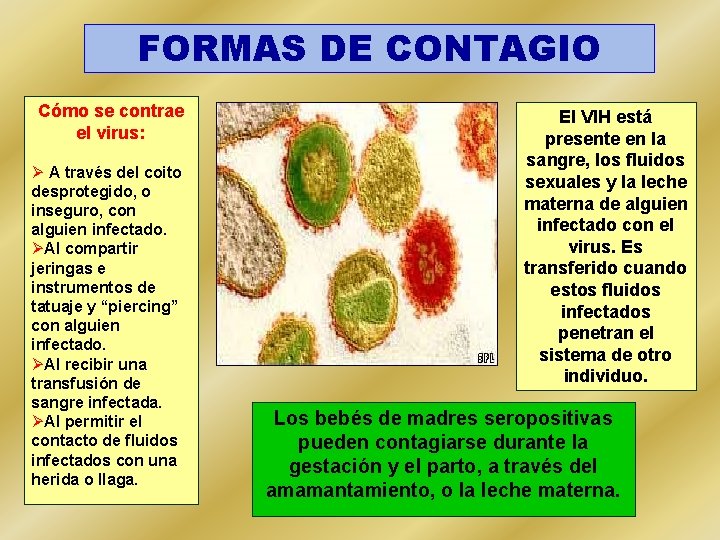 FORMAS DE CONTAGIO Cómo se contrae el virus: Ø A través del coito desprotegido,
