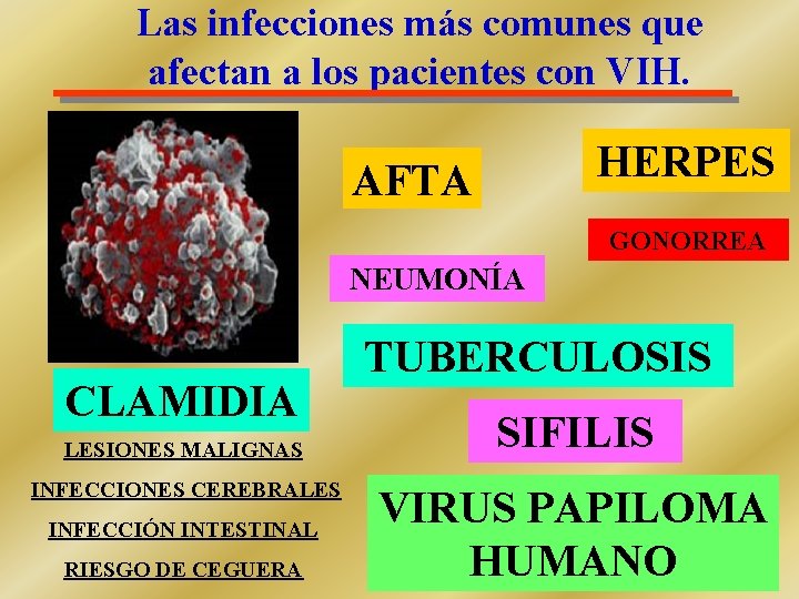 Las infecciones más comunes que afectan a los pacientes con VIH. HERPES AFTA GONORREA