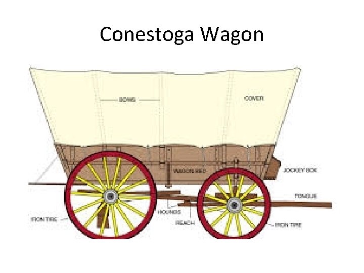 Conestoga Wagon Conestoga Wagon