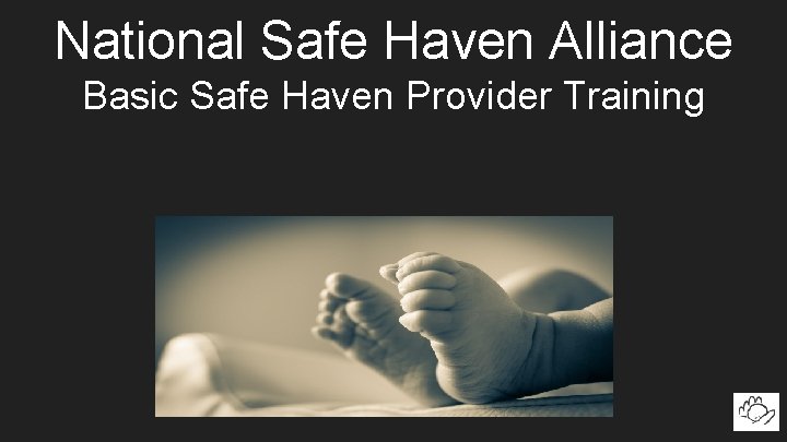 National Safe Haven Alliance Basic Safe Haven Provider Training 