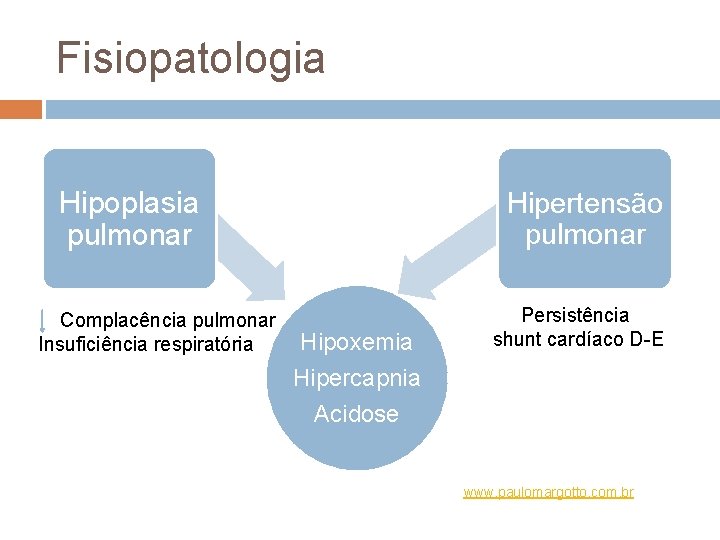 Fisiopatologia Hipoplasia pulmonar Complacência pulmonar Insuficiência respiratória Hipertensão pulmonar Hipoxemia Hipercapnia Acidose Persistência shunt