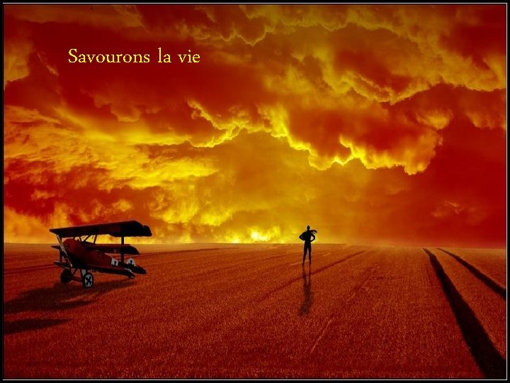 Savourons la vie 