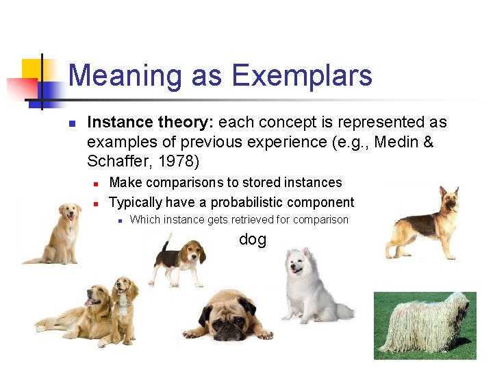 Meaning as Exemplars n Instance theory: each concept is represented as examples of previous