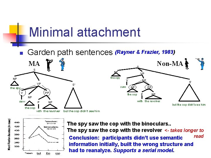 Minimal attachment n Garden path sentences (Rayner & Frazier, 1983) MA S NP VP