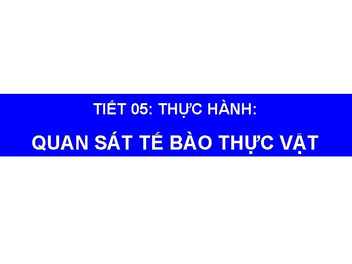 TIẾT 05: THỰC HÀNH: QUAN SÁT TẾ BÀO THỰC VẬT 