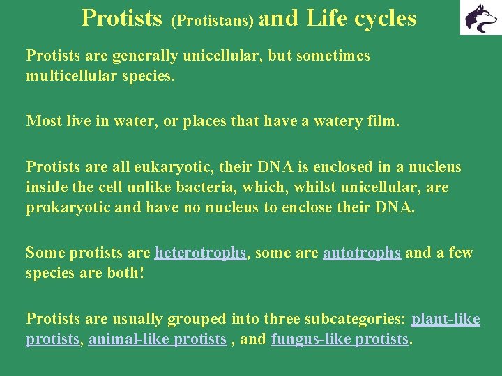 Protists (Protistans) and Life cycles Protists are generally unicellular, but sometimes multicellular species. Most