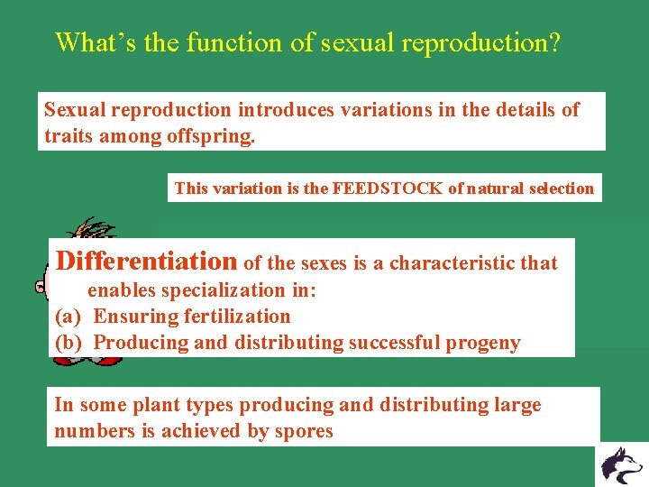 What’s the function of sexual reproduction? Sexual reproduction introduces variations in the details of