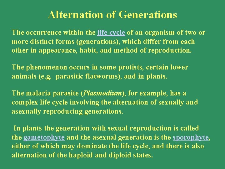 Alternation of Generations The occurrence within the life cycle of an organism of two