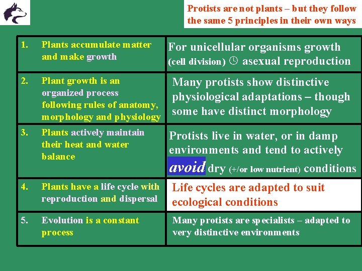 Protists are not plants – but they follow the same 5 principles in their
