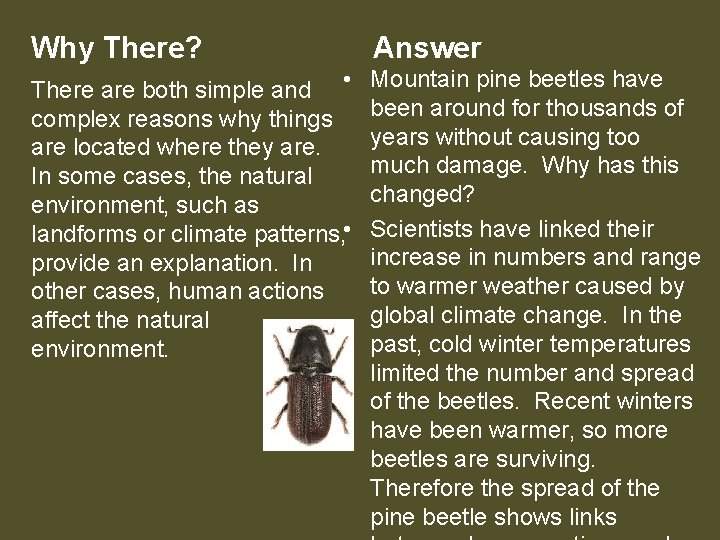 Why There? Answer There are both simple and • complex reasons why things are Why There? Answer There are both simple and • complex reasons why things are